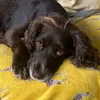 sophia23troon