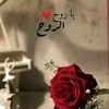 noursaqallah0