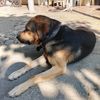 artur.terteryan7