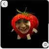 tomberry2929393