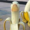 bananaduck94