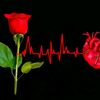 prettyredroses2