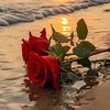 rabab7617