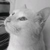 _01_abdullayeva