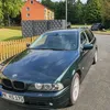 klaus5003