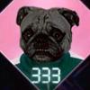 pepe.el_pug