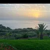 chamaeziyad0