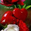 ishadool2
