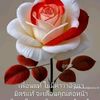 anusornmama6