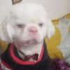 flor49230