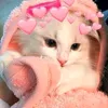 diem_quynhdayne