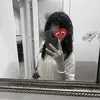 ily.k1tty_