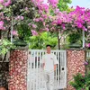 hoangbdsnhapho19