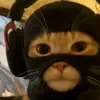 callmemuarif