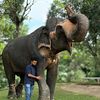 shuhail_elephants