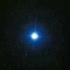 shaai568