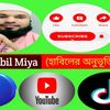 habil0733