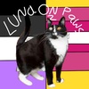 luna.on.paws2