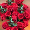 noor.maetham