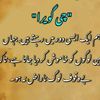 syedmunawar904