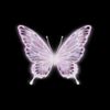 riesx_butterfly