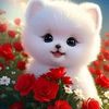 user8543002105506