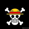 pponepiece2558