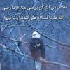 user5470230242198