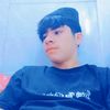 habib.norzaei