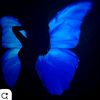 nafsya_samra