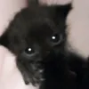 ..hfttjjuydx