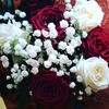 user517878618187