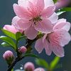 noemy6182