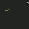 suleymannurlyyew11