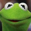 kermitdafrog3.0
