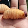 sibolangsibalong