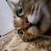 aisha111134