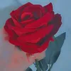 user8707008748868
