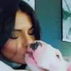 minibulliefee