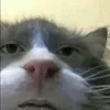 lerayxhd