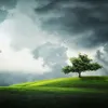 barzan.m.ali