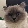 notifications1min