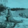 hhdbftntkjtbtbtbh