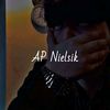 ap_nielsik17