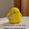 jaime163011