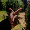 ish_danie