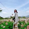 130487nh