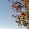 _zhrxx09