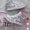 iris_iris2023