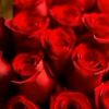 user51073030932794